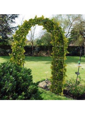 Gardman 1.9 x 1m 1.9 x 1m Garden Arch - Black