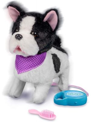 Fancy French Bulldog  Dog Puppy Fluffy Cute Pet Friend White Fur Furry