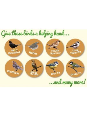 Peckish Natural Balance Energy Suet Fat Balls for Wild Birds, 25 Pack