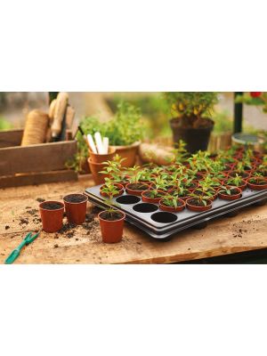 Growing Tray with 40 x 6cm Round Seedling Plastic Colour Plant Pots Reusable 