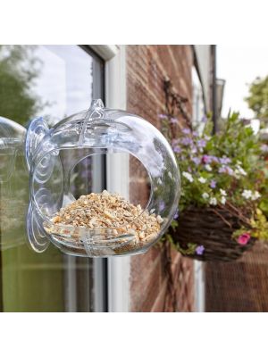 Window Bird Feeder Wild Table Hanging Suction Perspex Clear Viewing Seed Nut UK