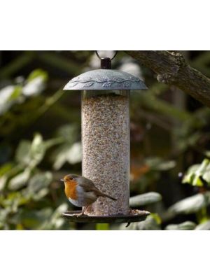 Wild Birds Complete 5 in 1 Bird Food 1kg All Season Mix Seeds 