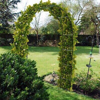 Metal Garden Arch Heavy Duty Strong Tubular Rose Climbing Plants Archway 2.4m