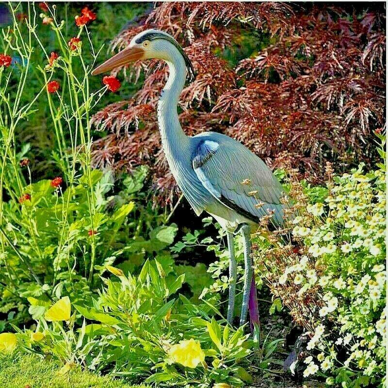 Heron Bird Deterrent / Scarcer Perfect For Protecting Your Fish And Pond