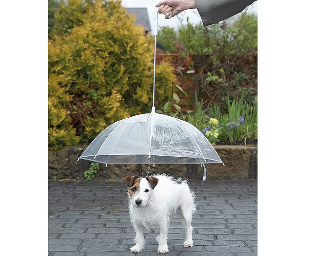 Pet Dog Transparent Canopy Waterproof Clear Umbrella with Metal Leash