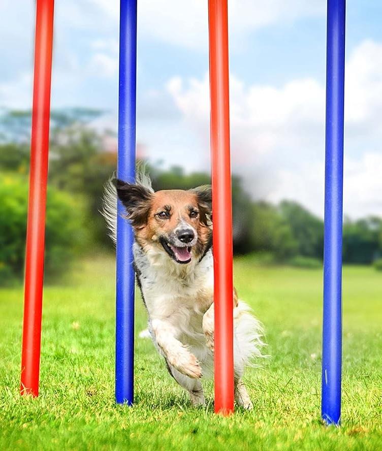 Dog Agility Slalom Training Outdoor Play Poles Set Carry Case Kit