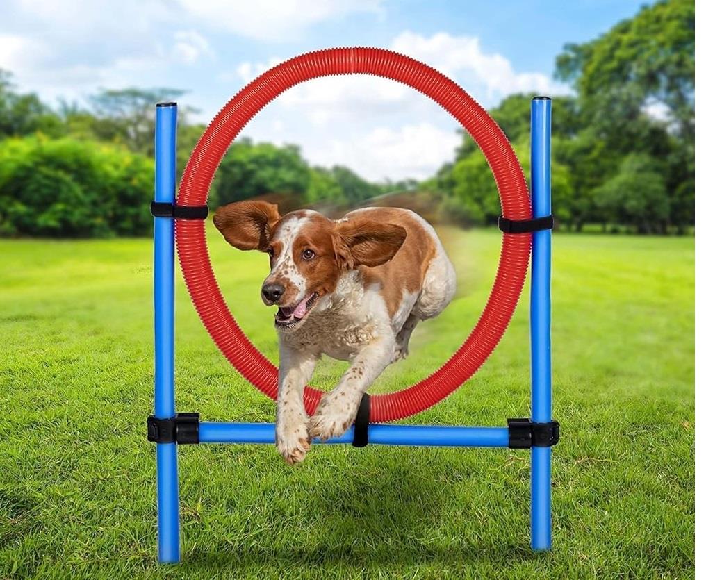 Dog Agility Jump Ring Obstacle Exercise Pole Set Obedience Training Equipment